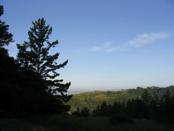 early morning on ridge above archibald creek