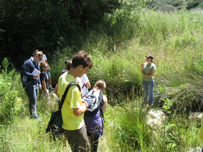 rebuilt and revegetated creekbed
