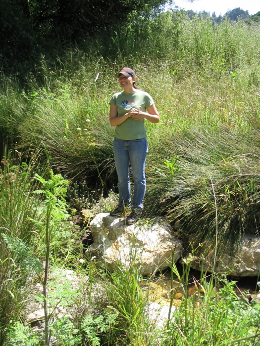 alison aquino project manager and m.a. student